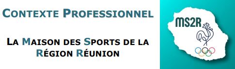 Aperçu du projet MS2R